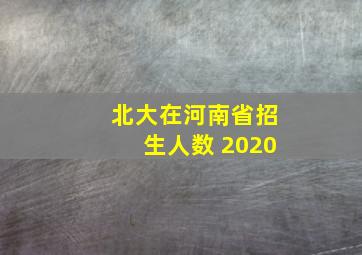 北大在河南省招生人数 2020